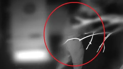 Kierowca busa wyrzucił śmieci w lesie. Wszystko nagrała fotopułapka