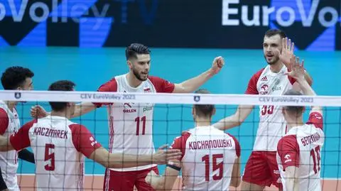 Polska - Dania (RELACJA)