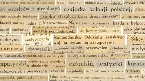 Feminatywy pochodzące z książek: "Wierna służba. Wspomnienia uczestników walk o niepodległość, 1910 - 1915" oraz "Służba ojczyźnie. Wspomnienia uczestników walk o niepodległość, 1915-1918" pod red. Aleksandry Piłsudskiej