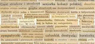 "Męska rozmowa" kontra "babskie pogaduchy". Jak język wpływa na to, co myślimy?