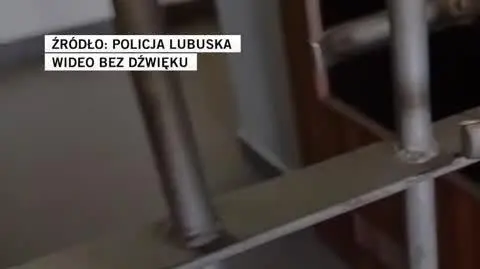 policja lubuska