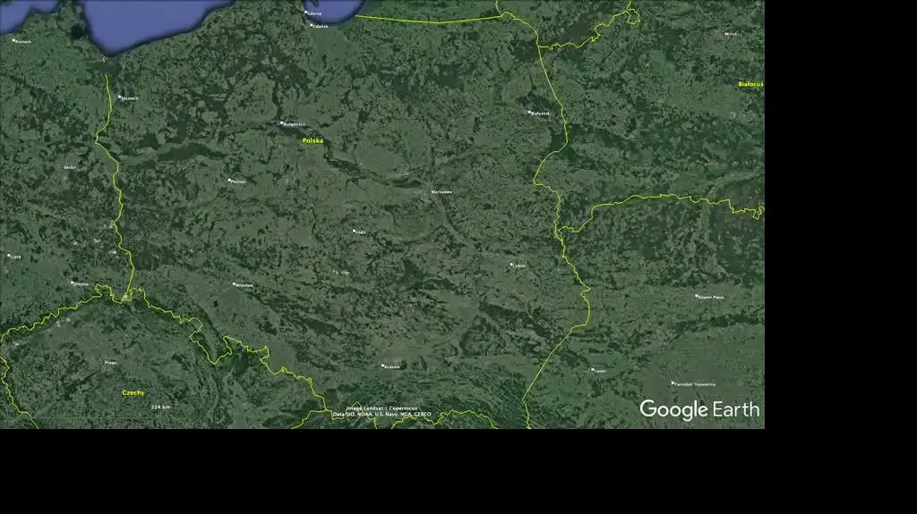 Sośnie pod Ostrowem Wielkopolskim