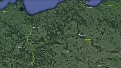 Sośnie pod Ostrowem Wielkopolskim