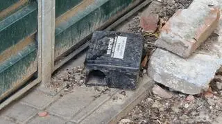 Na grochowskim osiedlu zalęgły się szczury