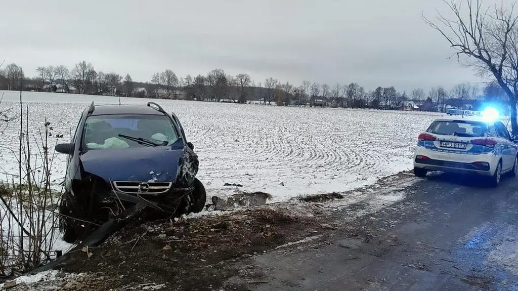 Wypadł z drogi i wjechał na pole