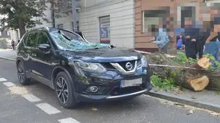 O krok od tragedii w Kutnie. Drzewo runęło na samochód