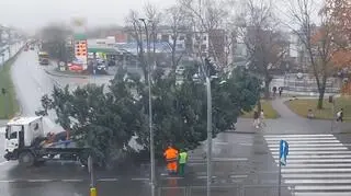 Choinką zaczepili o sygnalizację. Ranny mężczyzna