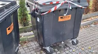 Martwa sarna w pojemniku na śmieci