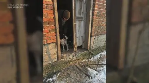 Klatka kluczowa-206531