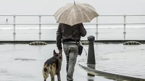 Pochmurno, deszczowo, chłodno, jesień