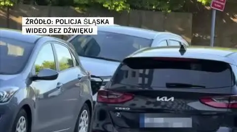 Policja Śląska