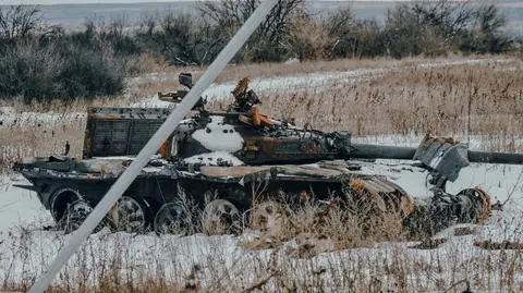 shutterstock_2601742981