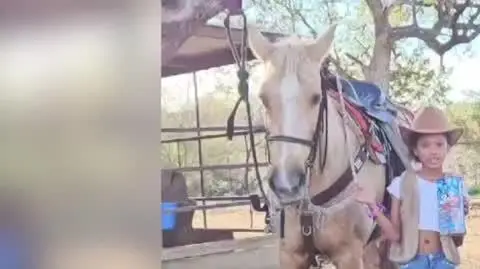 1501N080XST WOSP USA