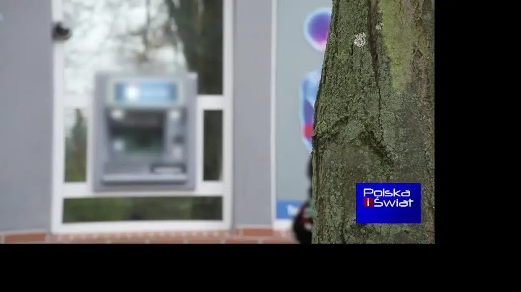 2304N377X PIS WAGNER DOSTEPNOSC