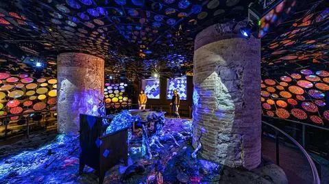 Casa Batlló, obowiązkowa pozycja na turystycznej mapie Barcelony - teraz w nowym, immersyjnym wydaniu