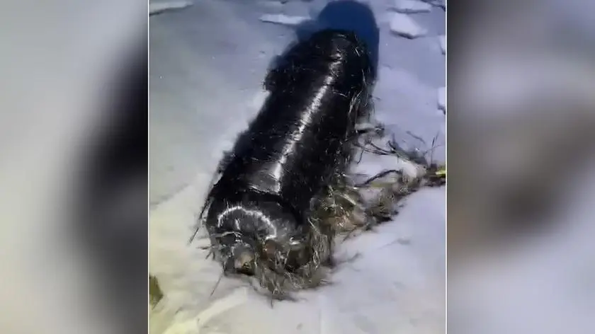 Kolejny niezidentyfikowany obiekt. Koło Nowego Tomyśla