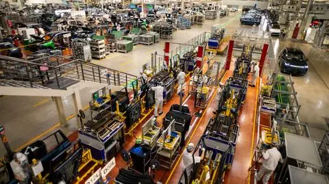 shutterstock_2689724839