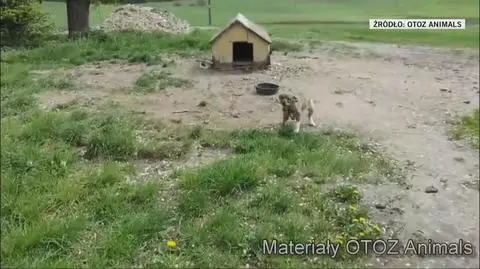 Klatka kluczowa-106747