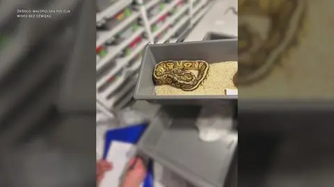 Klatka kluczowa-365191