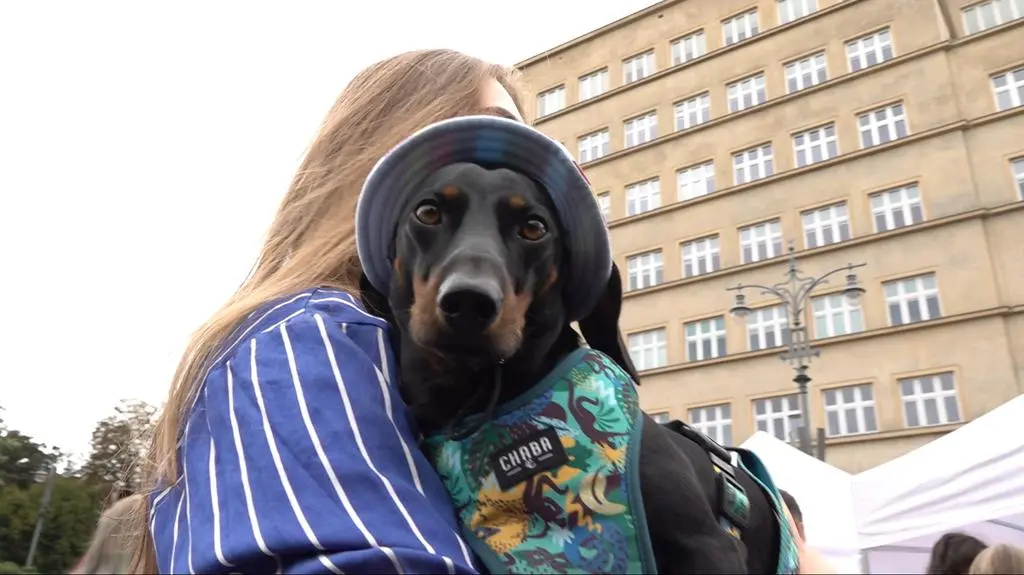 Marsz Jamników w Krakowie