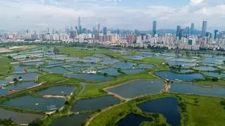 Meta musi zrezygnować. Chiny blokują ważną inwestycję