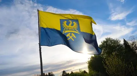 Śląski następnym językiem UE?