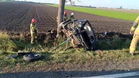 Samochód z trzema Brazylijczykami uderzył w drzewo