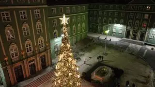 Choinka w Szczecinie