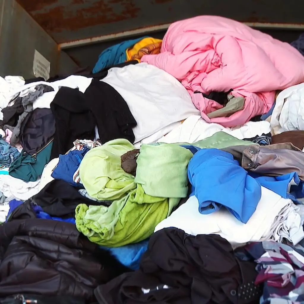 Screenshot 2025-12-06 at 12-41-18 Redge Media Portal