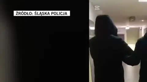 slaska policja