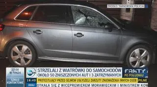 Policja: strzelali z wiatrówki do aut
