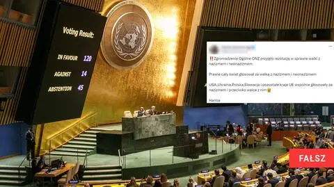 Dlaczego "prawie cały świat głosował za walką z nazizmem", a Polska i UE były przeciw?