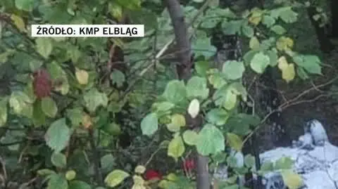 KMP Elbląg