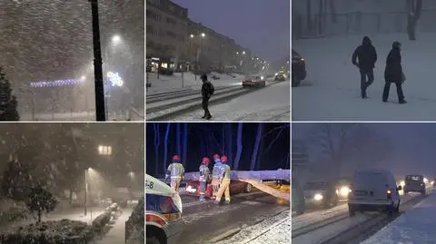 Atak zimy w części Polski. Drzewo spadło na samochód