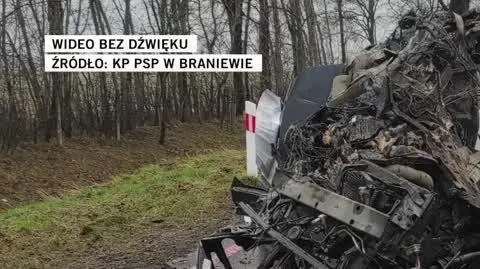 wjechał w drzewo 