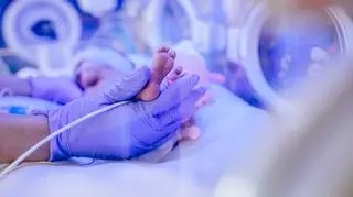 Pilotażowy program ma ruszyć w 2024 roku 