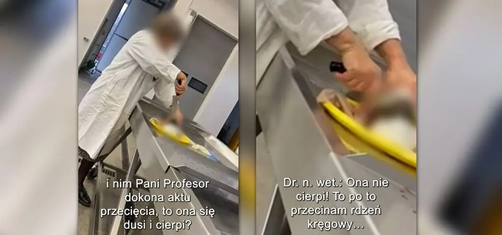 Uniwersytet ukarany za zabicie karpia