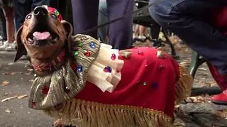 Marsz Jamników w Krakowie