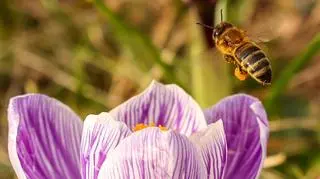 Prognoza na zimę i początek wiosny. Ten miesiąc ma być inny niż zwykle