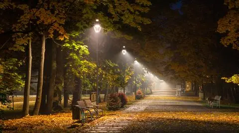 AdobeStock_229965399