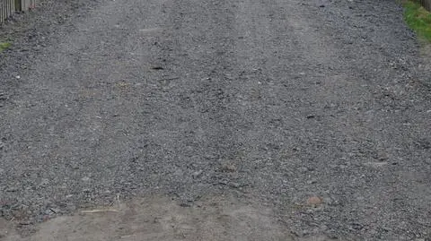 Znaleźli destrukt na posesji 