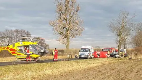 Auto wjechało w drzewo, zginęli trzej obywatele Ukrainy