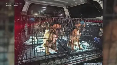 Klatka kluczowa-165429