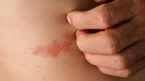 polpasiec shutterstock_2334631111