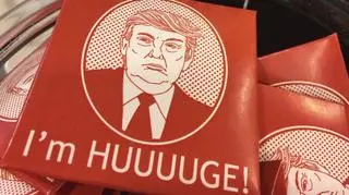 "Jestem OLBRZYMIIIIIII!". Ujawnili nowe zdjęcia z kolekcji Epsteina 