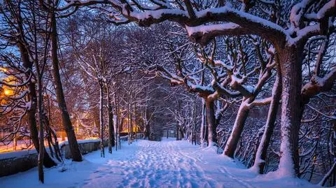 shutterstock_2392113249