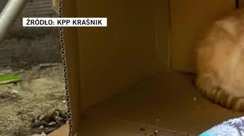 KPP Kraśnik 