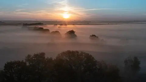 Wrocławskie Pola Irygacyjne – ostoja ptaków i roślin chronionych