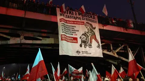 "Kotki i psiecka nie zastąpią ci dziecka!". Transparent na trasie Marszu Niepodległości w 2025 roku