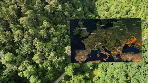 Nawet optymistyczne scenariusze przerażają. Zobacz dane z tylko ośmiu dni